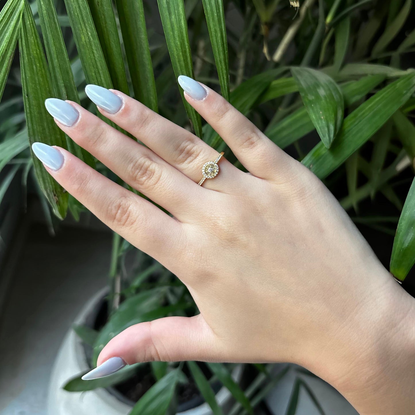 Halo Twist Ring